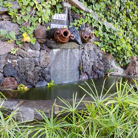 Casa Los Grabados, Piscina, Vistas, Barbacoa Y Zen Icod De Los Vinos Extérieur photo